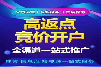 百度竞价效果监控与调整：案例分析及实战技巧